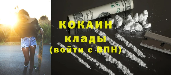 прущие грибы Медногорск