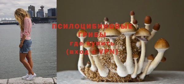 винт Мегион