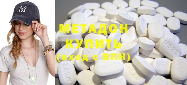 прущие грибы Медногорск