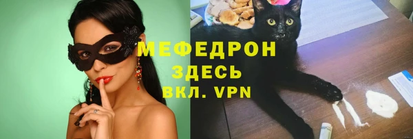 прущие грибы Медногорск