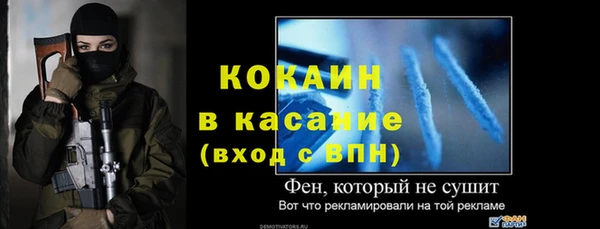 прущие грибы Медногорск