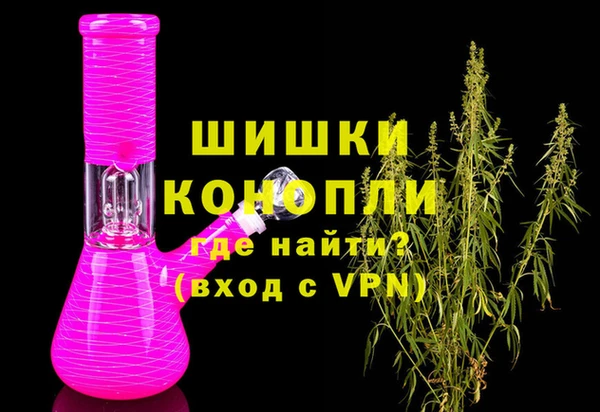 прущие грибы Медногорск