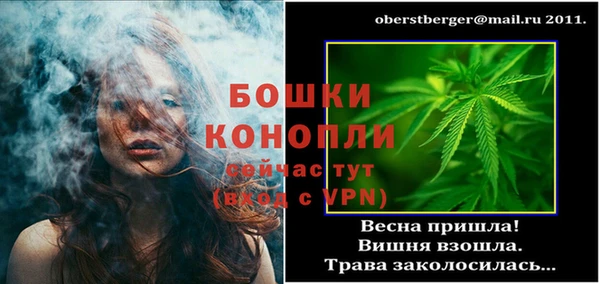 прущие грибы Медногорск