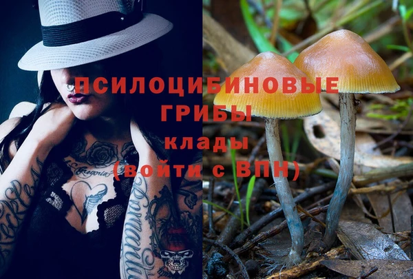 2c-b Медвежьегорск