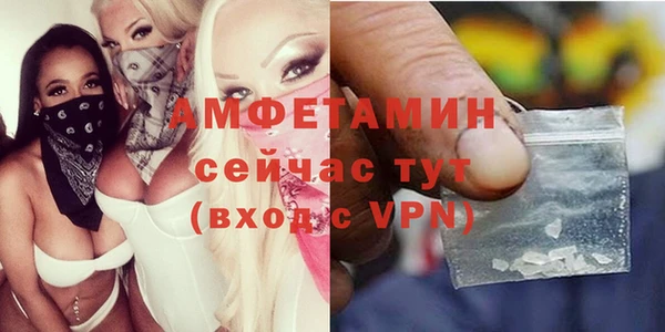 прущие грибы Медногорск