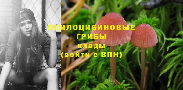 винт Мегион